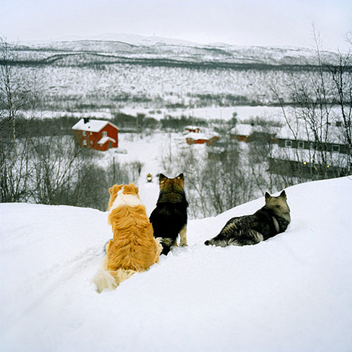 celine clanet photographer photography