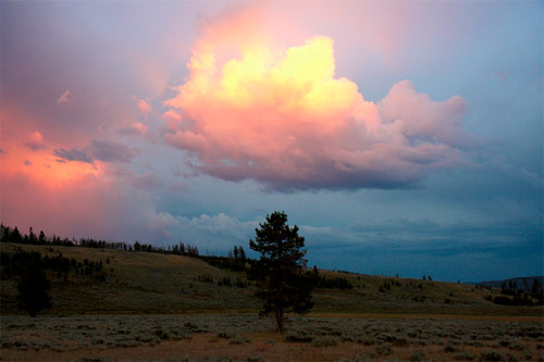 charlie engman photgrapher photography