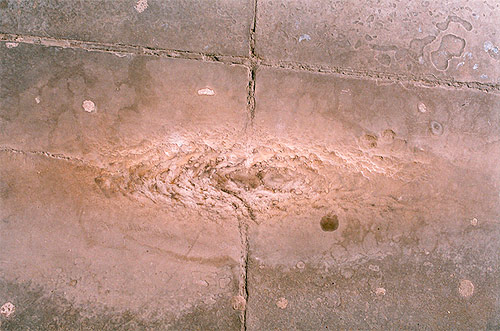 charlie engman photgrapher photography