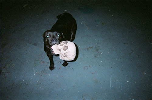 lewis manchu photographer photography