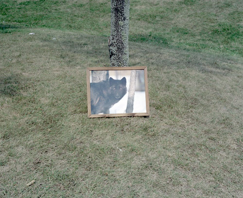 photographer photography timothy james kelly