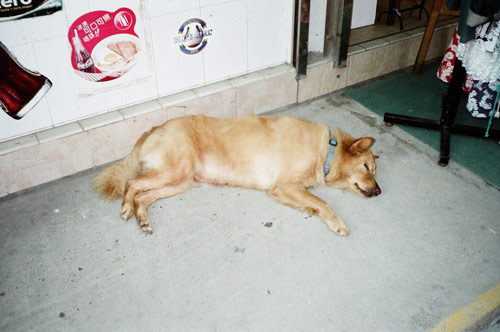 jeff hamada 35mm photography photographs japan hong kong