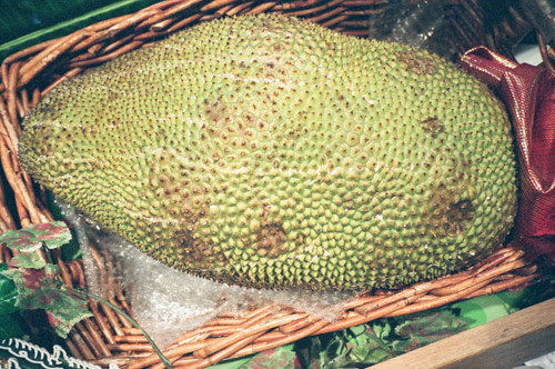 jeff hamada 35mm photography photographs japan hong kong