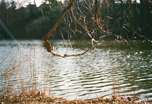 Photographer Maryanne Casasanta photography