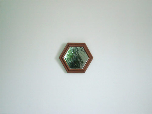 Photographer Maryanne Casasanta photography