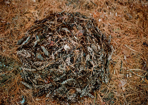 Photographer Maryanne Casasanta photography