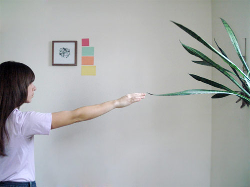 Photographer Maryanne Casasanta photography