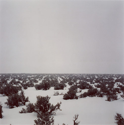 Photographer Mikael Kennedy