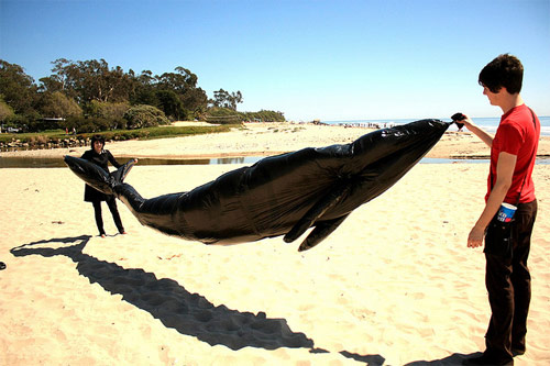 Garbage bag air whale by Matt Jones