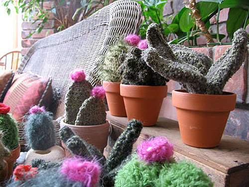 Crochet cactus by Shannon Gerard