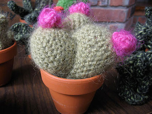Crochet cactus by Shannon Gerard