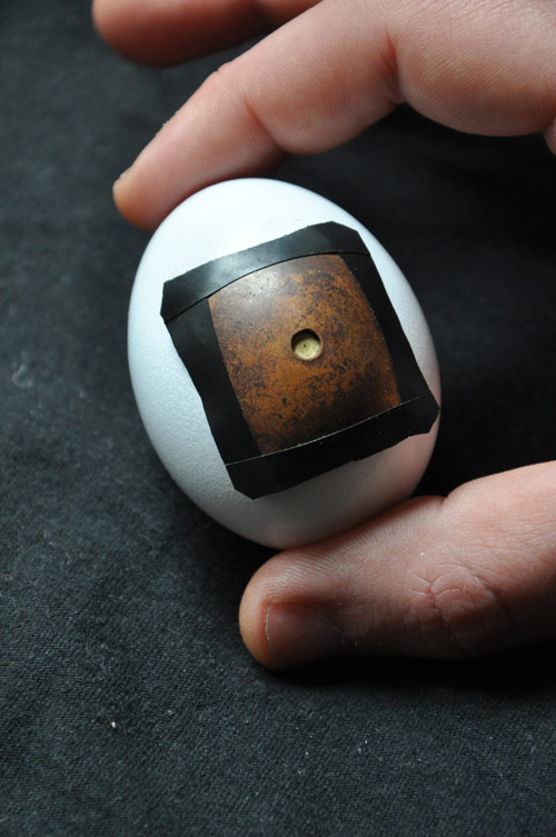 The Pinhegg turn an egg into a pinhole camera