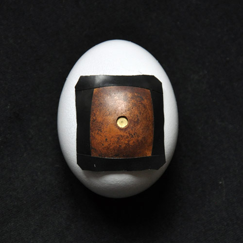 The Pinhegg turn an egg into a pinhole camera