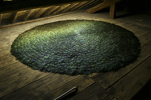 peacock feather installations by Artist Alexandre Joly