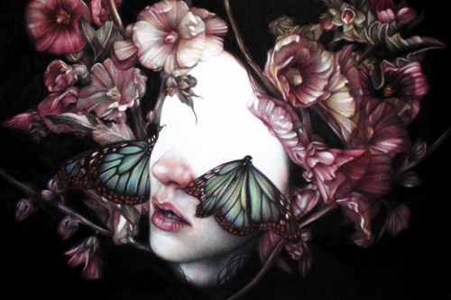 Coloured pencil crayon drawings by artist Marco Mazzoni