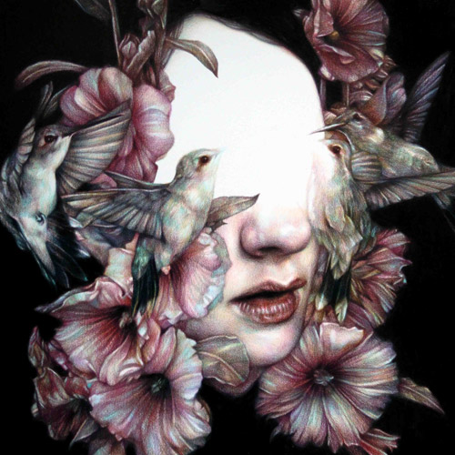 Coloured pencil crayon drawings by artist Marco Mazzoni