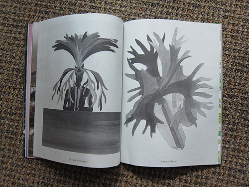 The Plant Journal photography magazine