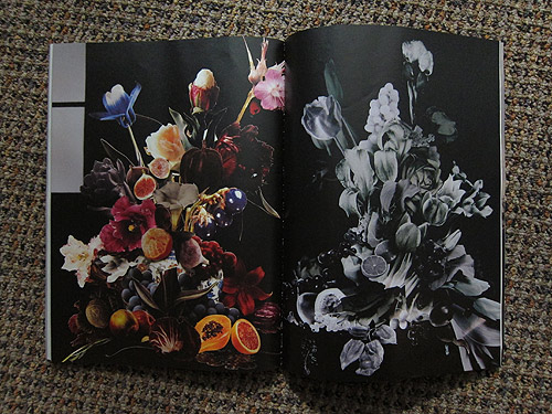 The Plant Journal photography magazine