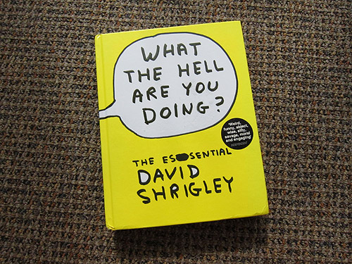David Shrigley book giveaway