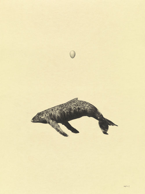 Drawings by artist Greg Eason