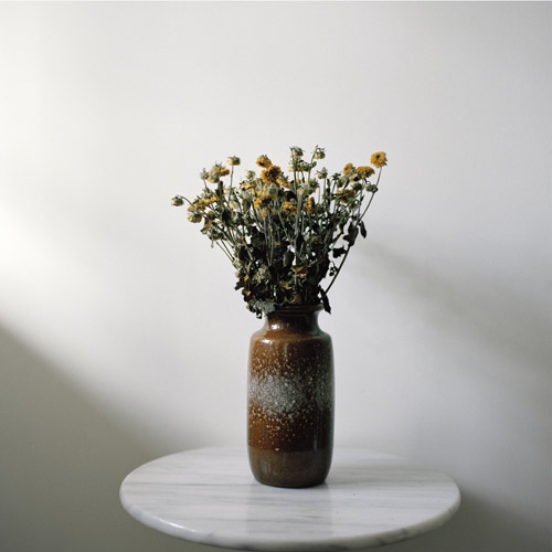 52 bunches of flowers i bought myself by photographer Julia Schauenburg
