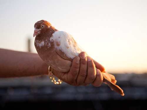 Photographer Aaron Wojack