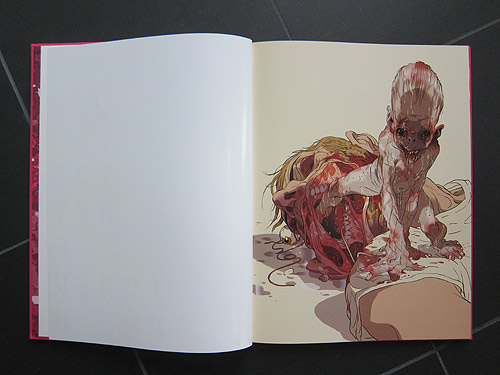 Illustrator Tomer Hanuka Overkill monogram book 