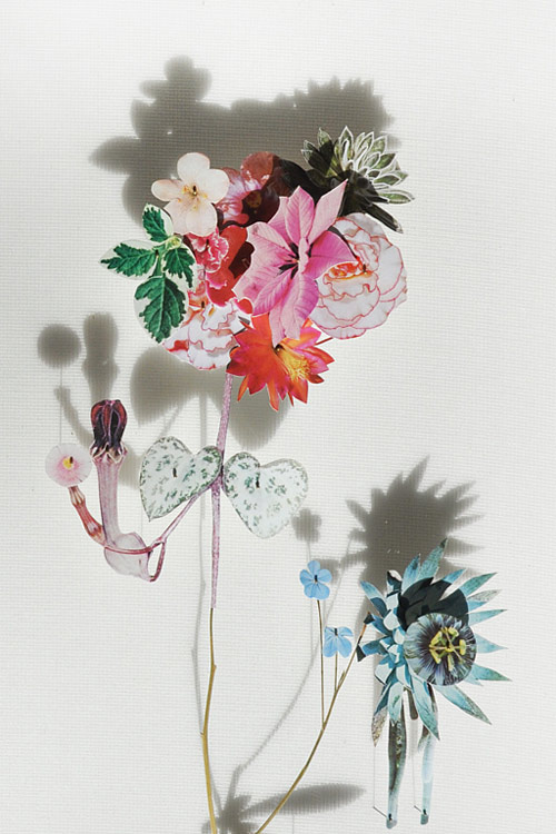 Flower Constructions by artist Anne Ten Donkelaar