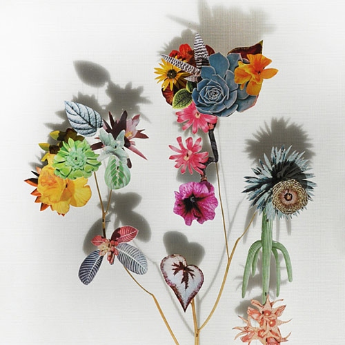 Flower Constructions by artist Anne Ten Donkelaar