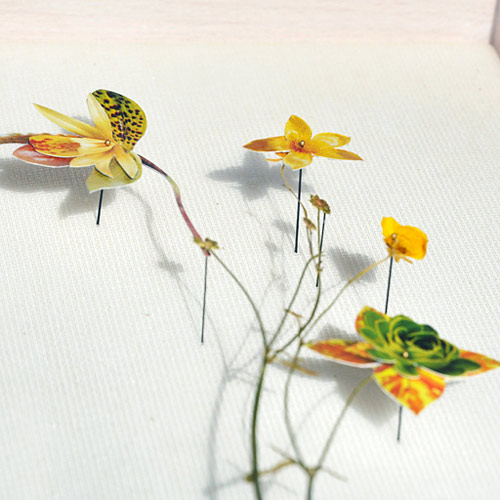 Flower Constructions by artist Anne Ten Donkelaar