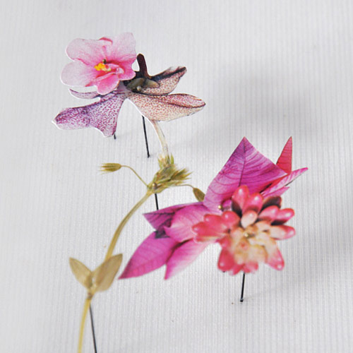 Flower Constructions by artist Anne Ten Donkelaar