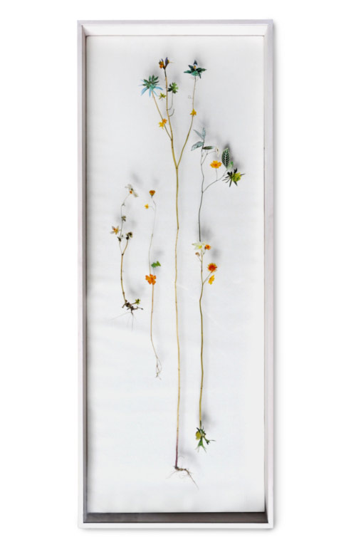 Flower Constructions by artist Anne Ten Donkelaar