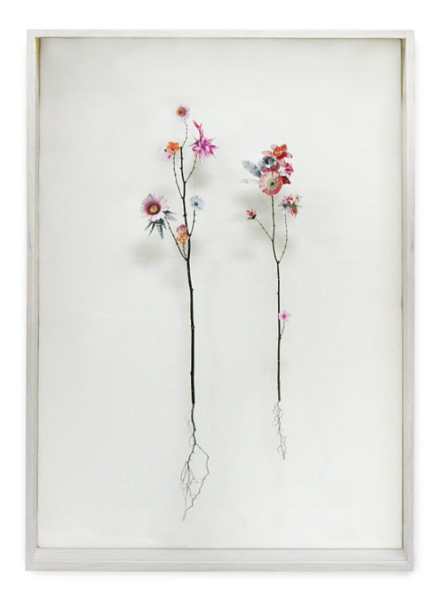 Flower Constructions by artist Anne Ten Donkelaar