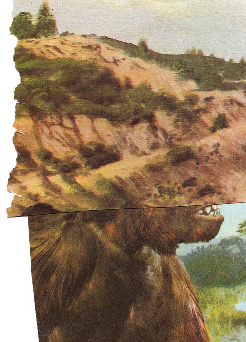 Collages by artist Brion Nuda Rosch