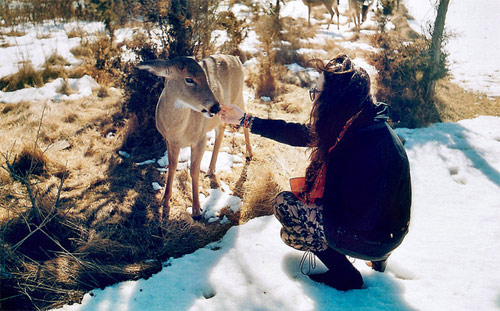 Photographer Laina Briedis photography