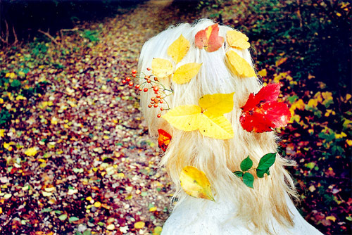 Photographer Laina Briedis photography