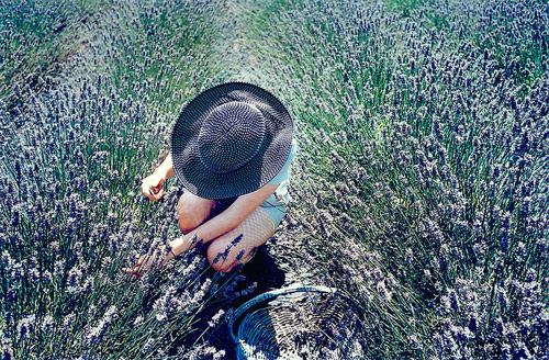 Photographer Laina Briedis photography