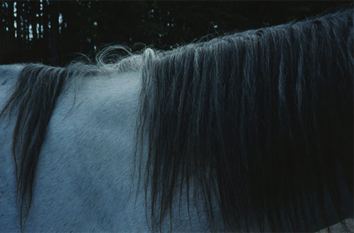 Photographer Hiroshi Takizawa