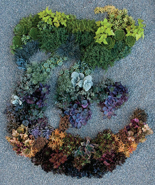 Garden designer Judy Kameon for New York Times T Magazine