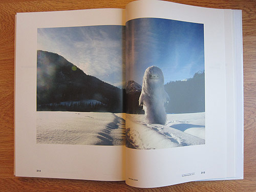 Pictoplasma NOT A TOY fashioning radical characters book