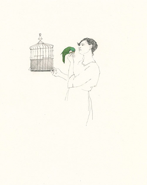 Drawings by artist Lauren Nassef