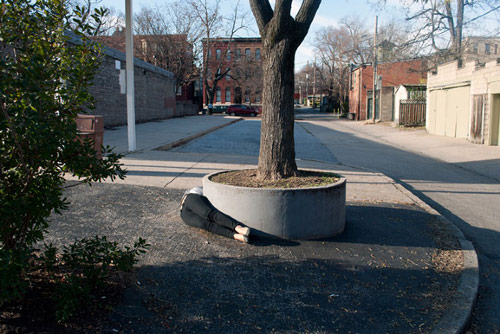 Photographer Samantha Schubert photography