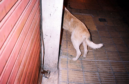 Photographer Bjarne Bare photography