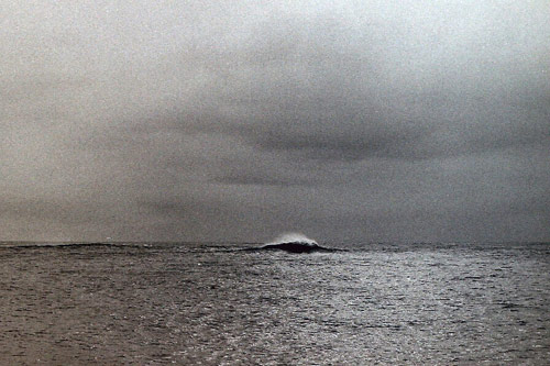 Photographer Carla Fernandez Andrade