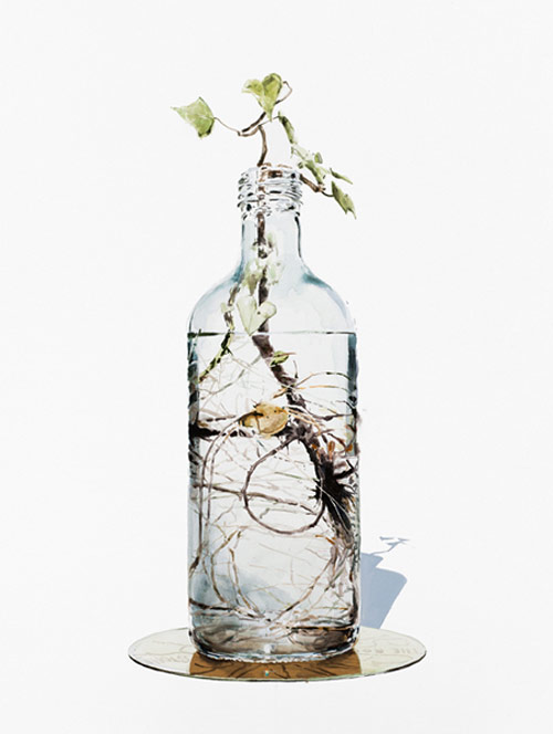 Artist painter Dane Lovett