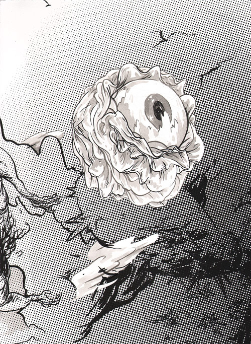 Drawings by artist Fionn McCabe