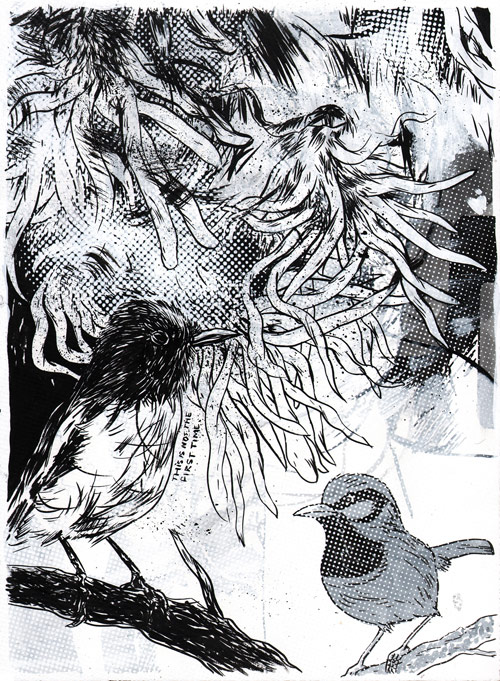 Drawings by artist Fionn McCabe