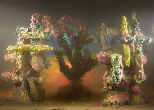 Artist Kim Keever