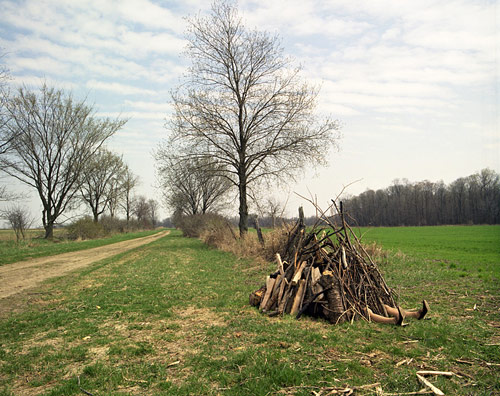 Photographer Nicola Kuperus