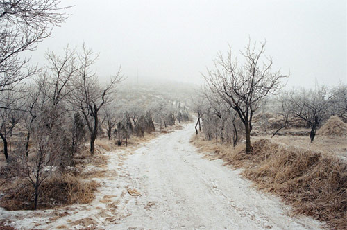 Photographer Aimee Han